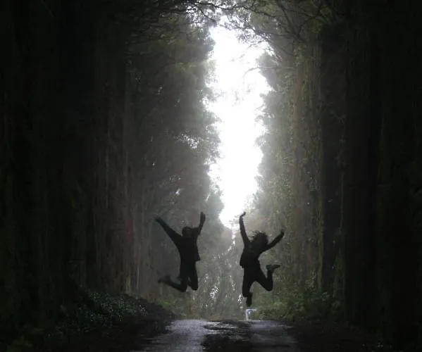 Armonia Park Bajamar (La Laguna)