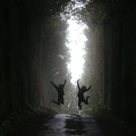 Armonia Park Bajamar