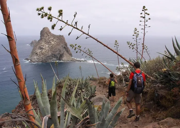 شقة Armonia Park باجامار